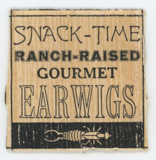 Item #21541 Snack-Time Ranch-Raised Gourmet Earwigs. Zephyrus Image.