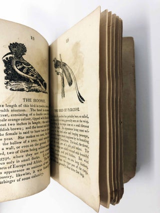 A Natural History of Foreign Birds. Thirty-Four Engravings on Wood.