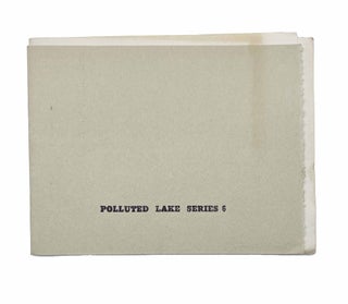 Item #31710 Aster F. Polluted Lake Series 6. d. a. levy